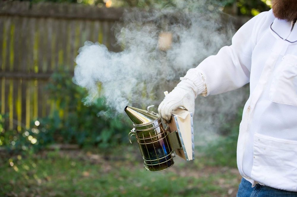 GREEN RIVER BEE COMPANY Updated June 2024 42 Photos 5430