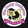 Photo of The Pooky Professor- Dog Training Services