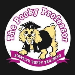 The Pooky Professor- Dog Training Services - Dog Training Services