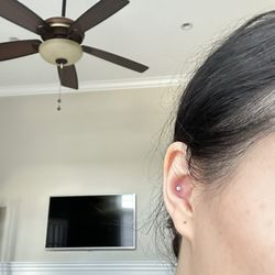 Artistic Skin Design & Body Piercing - Conch piercing