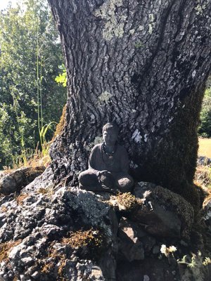 Spirit Rock Meditation Center by null