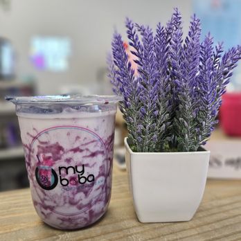 O My Boba - Bubble Tea Near Me - Benson, North Carolina
