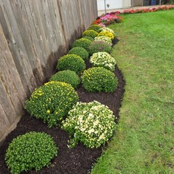 Rafael Landscaping