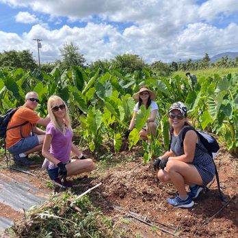 Kokua Learning Farm - Farms Near Me - Haleiwa, Hawaii Kokua Learning Farm - Farms Near Me - Haleiwa, Hawaii