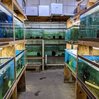 Uncle Ned's Fish Factory - Pet Stores Near Me - Millis, Massachusetts