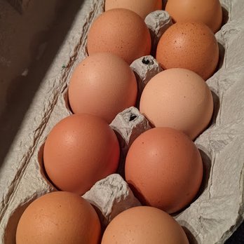 Millers Bulk Food Bakery - Organic, cage free, pasture raised eggs from Byler's Small Family Farm. - Bakeries Near Me - Medina, New York