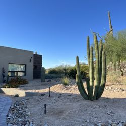 Southwest Cactus - After the beautiful organ pipe installed.
