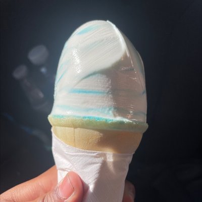 Burk's Igloo by null