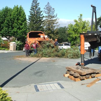 Julian Tree Care - Tree Services Near Me