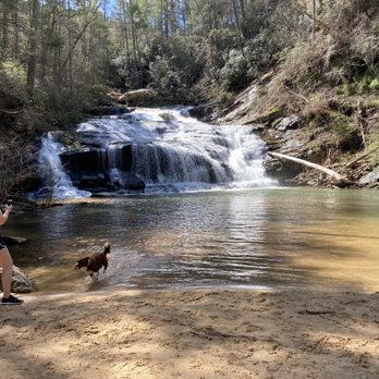 Panther Creek Recreation Area - Hiking Near Me