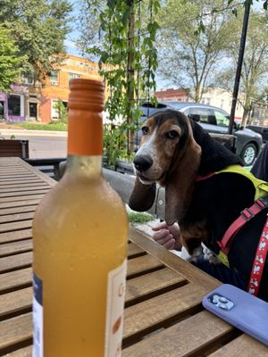 Sauce & Bread Kitchen by null Sauce & Bread Kitchen by null