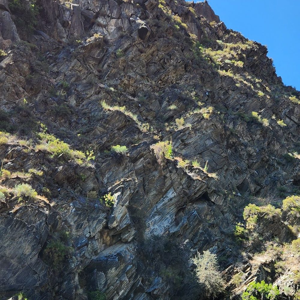 Salmon River Experience - Rafting/Kayaking Near Me - Riggins, Idaho Salmon River Experience - Rafting/Kayaking Near Me - Riggins, Idaho
