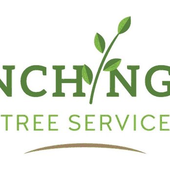 Branching Out - Branching Out Tree Service logo. - Tree Services Near Me - Newburgh, Indiana Branching Out - Branching Out Tree Service logo. - Tree Services Near Me - Newburgh, Indiana