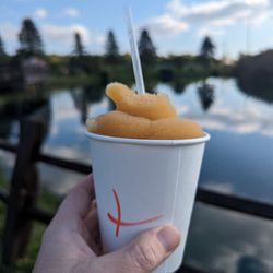 Apple Charlie's South Huron Orchards & Cider Mill - Apple Slushee