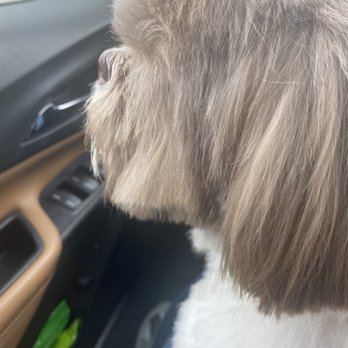 Dream Pet Grooming - Pet Groomers Near Me - Irvine, California Dream Pet Grooming - Pet Groomers Near Me - Irvine, California