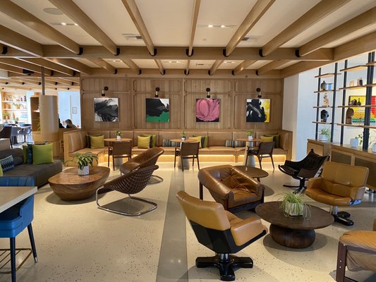 Sugar Palm Santa Monica by null