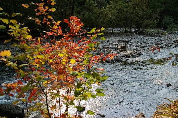 Twin Falls Trailhead by null