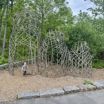 Discovery Museum - Discovery Woods - Museums Near Me - Acton, Massachusetts