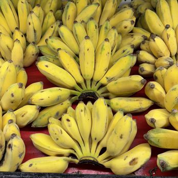 Lee Lee International Supermarkets - Super sweet tiny bananas - Seafood Markets Near Me - Tucson, Arizona Lee Lee International Supermarkets - Super sweet tiny bananas - Seafood Markets Near Me - Tucson, Arizona