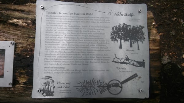 Menu photo 5 Gut Karlshöhe Hamburg, HH