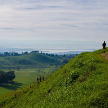 Ed R. Levin County Park - 1/30/17 Green grass from all the rain and a spectacular view - Dog Parks Near Me - Milpitas, California Ed R. Levin County Park - 1/30/17 Green grass from all the rain and a spectacular view - Dog Parks Near Me - Milpitas, California