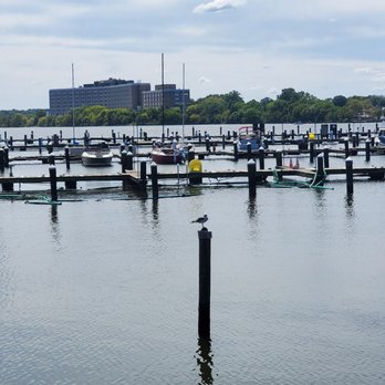 Nicks Fish House - Shoreline - Seafood Near Me - Baltimore, Maryland Nicks Fish House - Shoreline - Seafood Near Me - Baltimore, Maryland