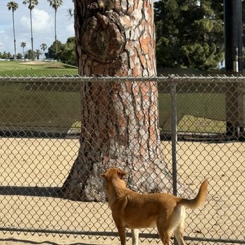 Recreation Dog Park - Dog Parks Near Me - Long Beach, California Recreation Dog Park - Dog Parks Near Me - Long Beach, California