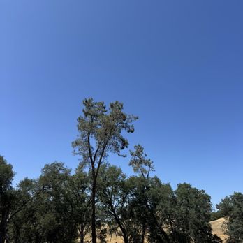 Central Coast Trailrides - Eagles nest - Horseback Riding Near Me
