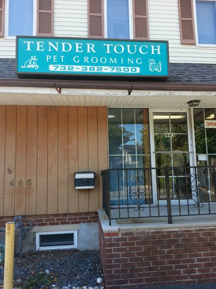 A TENDER TOUCH PET GROOMING Updated September 2024 443 Lake Ave