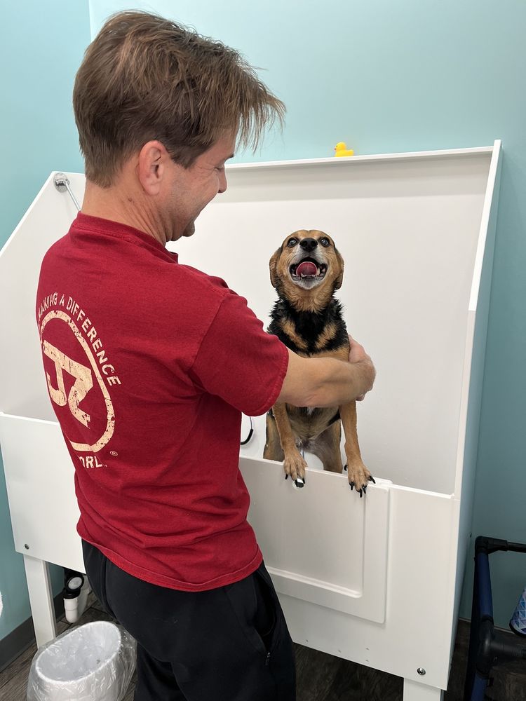 CLEAN PAWS Updated September 2024 11 Photos 6305 S Elm Pl, Broken