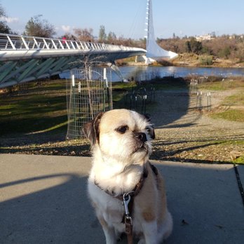 Sundial Bridge - Landmarks & Historical Buildings Near Me - Redding, California Sundial Bridge - Landmarks & Historical Buildings Near Me - Redding, California