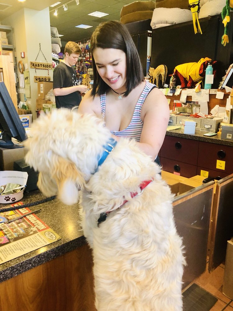 EASTSIDE DOG Updated September 2024 18 Photos & 73 Reviews 7533