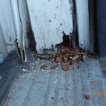 North Bay Inspection - Rot to an exterior door jamb is a very common finding. - Home Inspectors Near Me - Concord, California