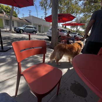 Leilo Coffee - Coffee & Tea Near Me - Culver City, California