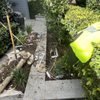 Sosa & Sons Landscaping gift card