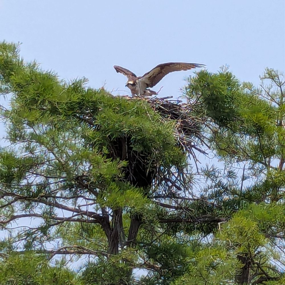 Jordan Lake Tours - Boat Tours Near Me - Moncure, North Carolina Jordan Lake Tours - Boat Tours Near Me - Moncure, North Carolina
