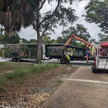 O'Brien's Tree Services - Cleaning up - Tree Services Near Me - Saint Petersburg, Florida O'Brien's Tree Services - Cleaning up - Tree Services Near Me - Saint Petersburg, Florida