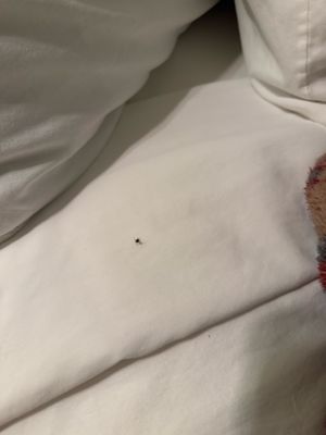 Oakhurst Lodge by null