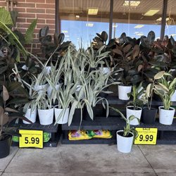 Kroger Marketplace
