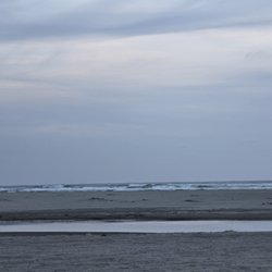 Driftwood RV Park
