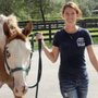 Photo of Peak Performance Horses