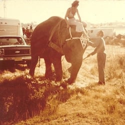 Circus Vargas - Old Circus Vargas