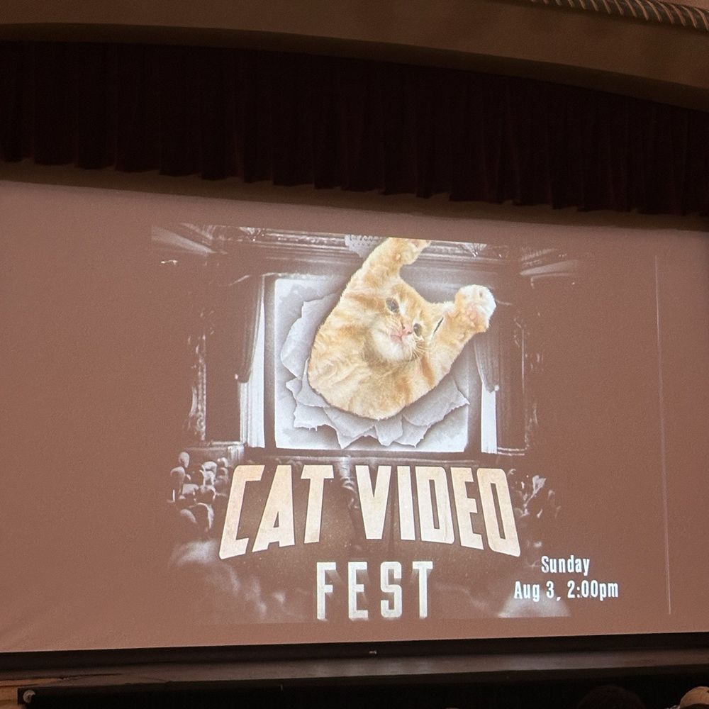Wealthy Theatre - 2025 Cat Video Fest - Venues & Event Spaces Near Me - Grand Rapids, Michigan Wealthy Theatre - 2025 Cat Video Fest - Venues & Event Spaces Near Me - Grand Rapids, Michigan