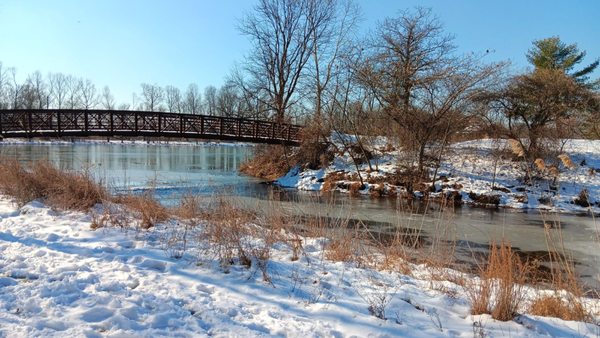 Lake Artemesia Natural Area by null