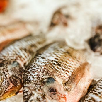 Rose's Seafood - Seafood Markets Near Me - Seabrook, Texas