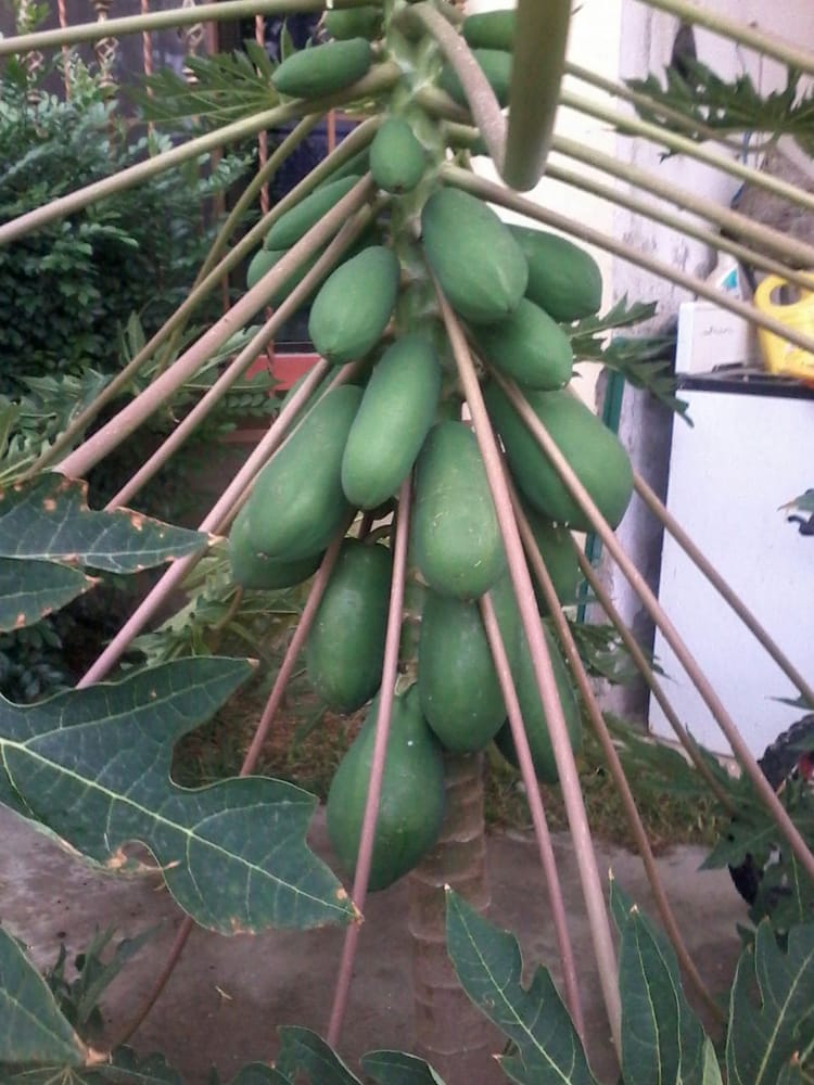 IMPERIAL IRRIGATION SUPPLY Updated June 2024 630 Enterprise St