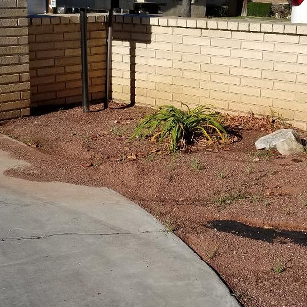 Back To Eden Landscapes - Landscaping Near Me Back To Eden Landscapes - Landscaping Near Me