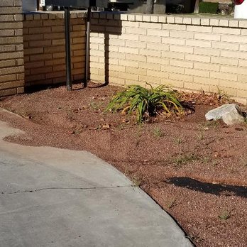 Back To Eden Landscapes - Landscaping Near Me