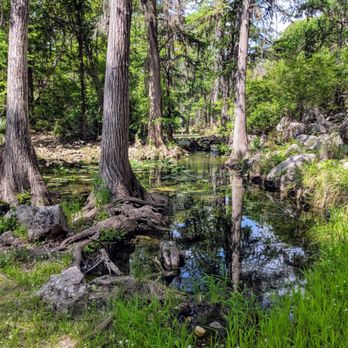 Guadalupe River State Park - Honey Creek - Parks Near Me - Spring Branch, Texas Guadalupe River State Park - Honey Creek - Parks Near Me - Spring Branch, Texas