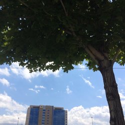 Uta Trax Stop - Nice shade trees to relax under if you're waiting to kill time
